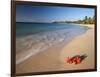 Tropical Paradise, Tabyana Beach, Roatan, Honduras-Stuart Westmorland-Framed Photographic Print