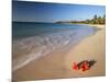 Tropical Paradise, Tabyana Beach, Roatan, Honduras-Stuart Westmorland-Mounted Photographic Print