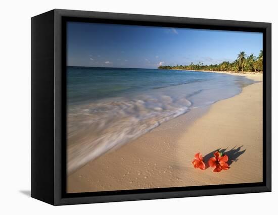 Tropical Paradise, Tabyana Beach, Roatan, Honduras-Stuart Westmorland-Framed Stretched Canvas