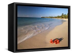 Tropical Paradise, Tabyana Beach, Roatan, Honduras-Stuart Westmorland-Framed Stretched Canvas