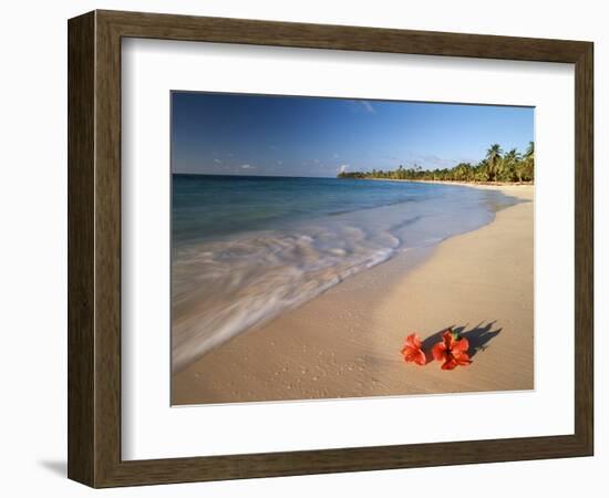 Tropical Paradise, Tabyana Beach, Roatan, Honduras-Stuart Westmorland-Framed Photographic Print