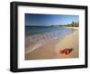 Tropical Paradise, Tabyana Beach, Roatan, Honduras-Stuart Westmorland-Framed Photographic Print