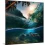 Tropical Paradise Template with Sunlight. Ocean Surfing Wave Breaking and Two Big Green Turtles Div-Willyam Bradberry-Mounted Photographic Print