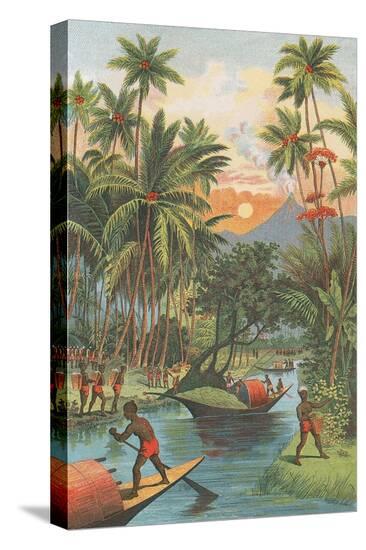 Stretched Canvas Print, , large