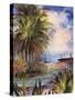 Tropical Paradise-Mary Dulon-Stretched Canvas