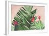 Tropical Paradise-Aimee Wilson-Framed Art Print