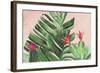 Tropical Paradise-Aimee Wilson-Framed Art Print