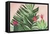 Tropical Paradise-Aimee Wilson-Framed Stretched Canvas