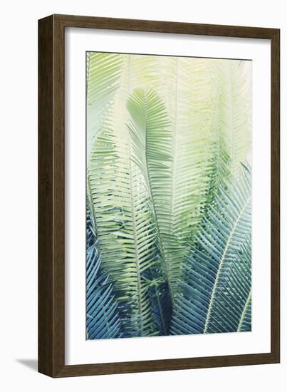 Tropical Park-Irene Suchocki-Framed Giclee Print