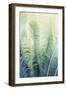 Tropical Park-Irene Suchocki-Framed Giclee Print