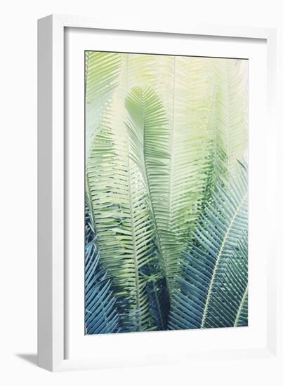 Tropical Park-Irene Suchocki-Framed Giclee Print