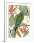 Tropical Parrot Composition I-Annie Warren-Framed Art Print