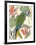 Tropical Parrot Composition I-Annie Warren-Framed Art Print