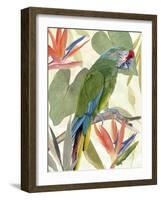 Tropical Parrot Composition I-Annie Warren-Framed Art Print