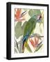 Tropical Parrot Composition I-Annie Warren-Framed Art Print