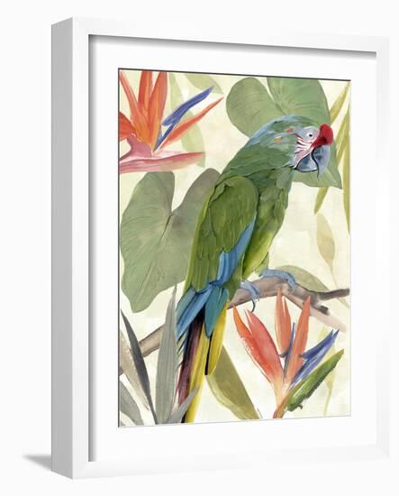 Tropical Parrot Composition I-Annie Warren-Framed Art Print