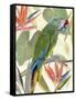 Tropical Parrot Composition I-Annie Warren-Framed Stretched Canvas