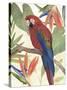 Tropical Parrot Composition II-Annie Warren-Stretched Canvas