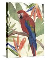 Tropical Parrot Composition II-Annie Warren-Stretched Canvas