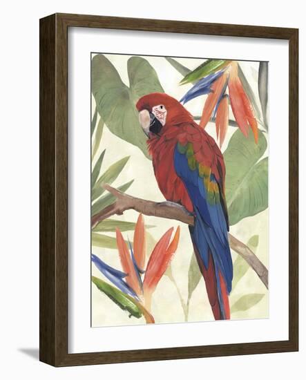 Tropical Parrot Composition II-Annie Warren-Framed Art Print