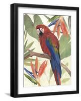 Tropical Parrot Composition II-Annie Warren-Framed Art Print