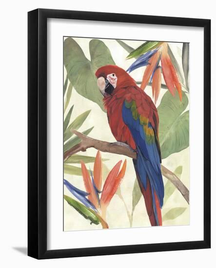 Tropical Parrot Composition II-Annie Warren-Framed Art Print