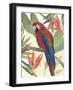 Tropical Parrot Composition II-Annie Warren-Framed Art Print