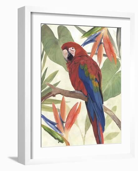 Tropical Parrot Composition II-Annie Warren-Framed Art Print