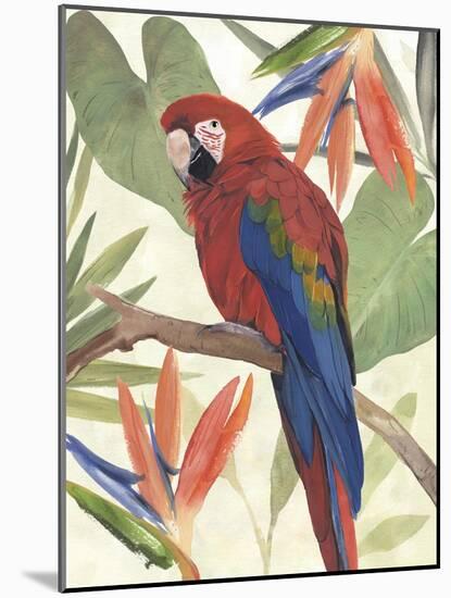 Tropical Parrot Composition II-Annie Warren-Mounted Art Print