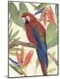 Tropical Parrot Composition II-Annie Warren-Mounted Art Print