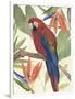 Tropical Parrot Composition II-Annie Warren-Framed Art Print