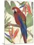 Tropical Parrot Composition II-Annie Warren-Mounted Art Print