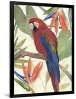 Tropical Parrot Composition II-Annie Warren-Framed Art Print