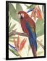 Tropical Parrot Composition II-Annie Warren-Framed Art Print