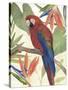 Tropical Parrot Composition II-Annie Warren-Stretched Canvas