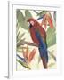 Tropical Parrot Composition II-Annie Warren-Framed Art Print