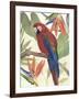 Tropical Parrot Composition II-Annie Warren-Framed Art Print