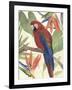 Tropical Parrot Composition II-Annie Warren-Framed Art Print