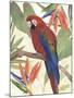 Tropical Parrot Composition II-Annie Warren-Mounted Art Print