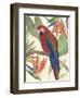 Tropical Parrot Composition II-Annie Warren-Framed Art Print