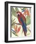 Tropical Parrot Composition II-Annie Warren-Framed Art Print