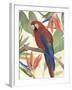 Tropical Parrot Composition II-Annie Warren-Framed Art Print