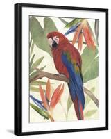 Tropical Parrot Composition II-Annie Warren-Framed Art Print