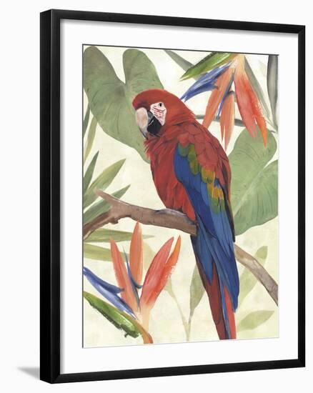 Tropical Parrot Composition II-Annie Warren-Framed Art Print