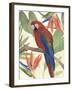 Tropical Parrot Composition II-Annie Warren-Framed Art Print