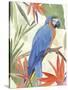 Tropical Parrot Composition IV-Annie Warren-Stretched Canvas