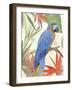 Tropical Parrot Composition IV-Annie Warren-Framed Art Print