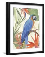 Tropical Parrot Composition IV-Annie Warren-Framed Art Print