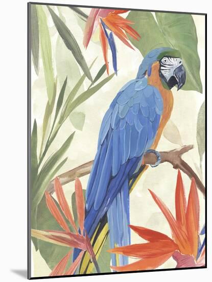 Tropical Parrot Composition IV-Annie Warren-Mounted Art Print