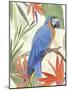 Tropical Parrot Composition IV-Annie Warren-Mounted Art Print